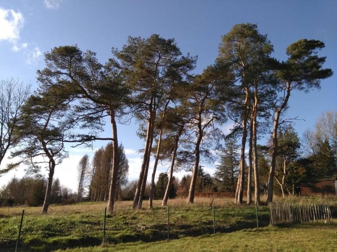 Appartement met open haard en tuin in Barvaux-sur-Ourthe, Durbuy, België voor 6 personen foto 25