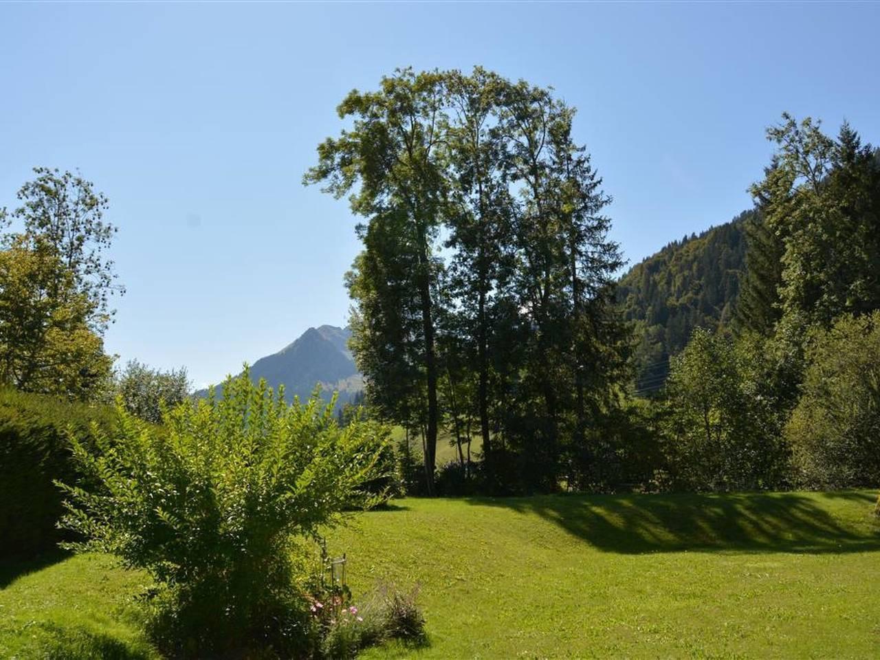 Vakantieappartement in Saanen, Zwitserland voor 4 personen foto 7