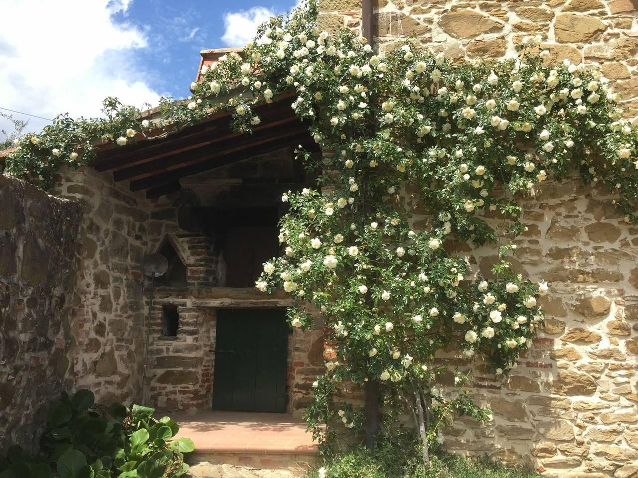 Vakantiehuis in Chianti, Italië voor 8 personen foto 10