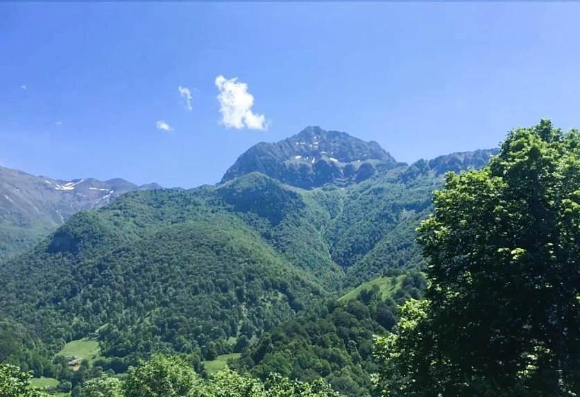 Vakantiehuis in Béarn, Frankrijk voor 6 personen foto 6