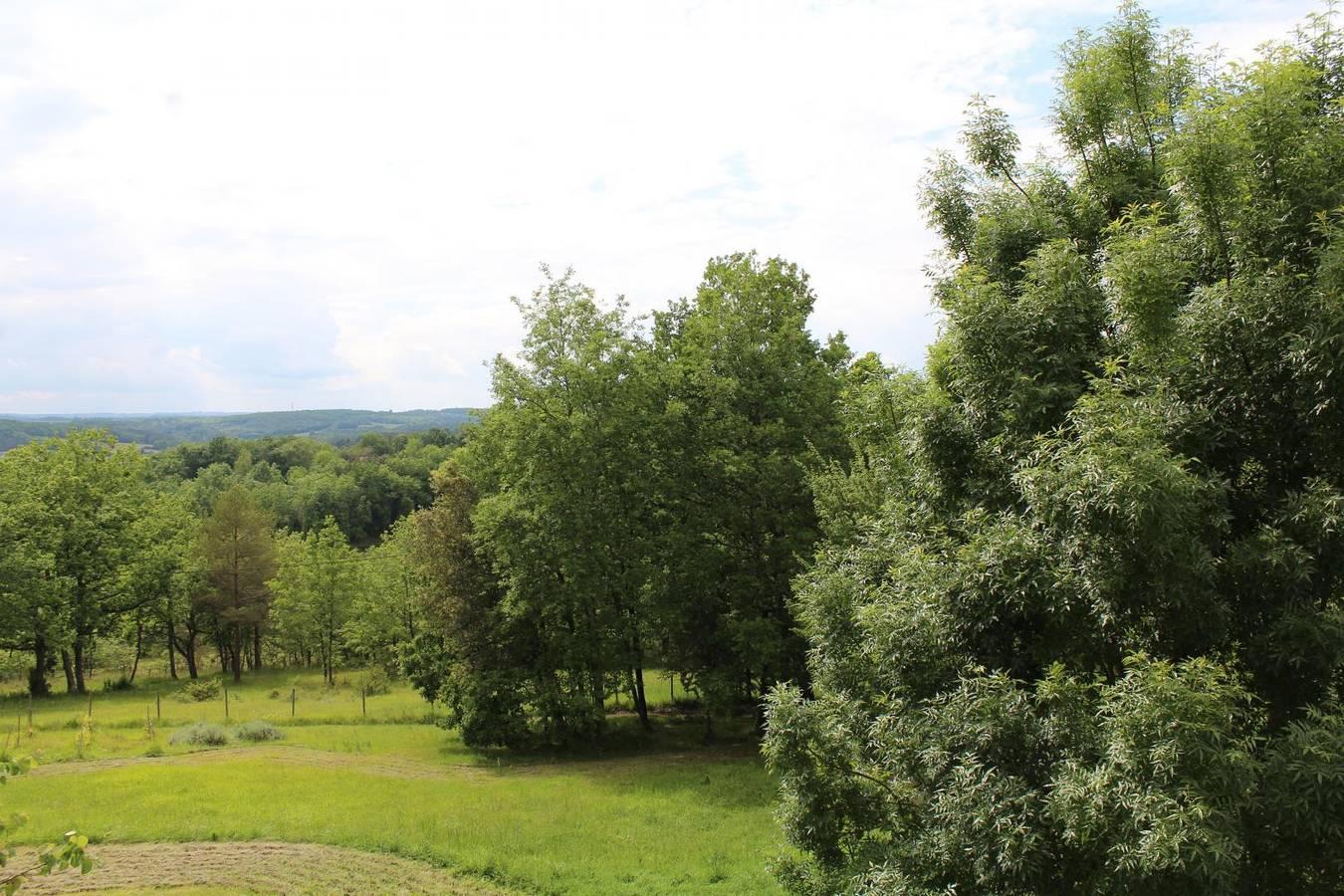 La Tour - Les Lizettes in Monsac, Périgord Pourpre, Frankrijk voor 6 personen foto 24