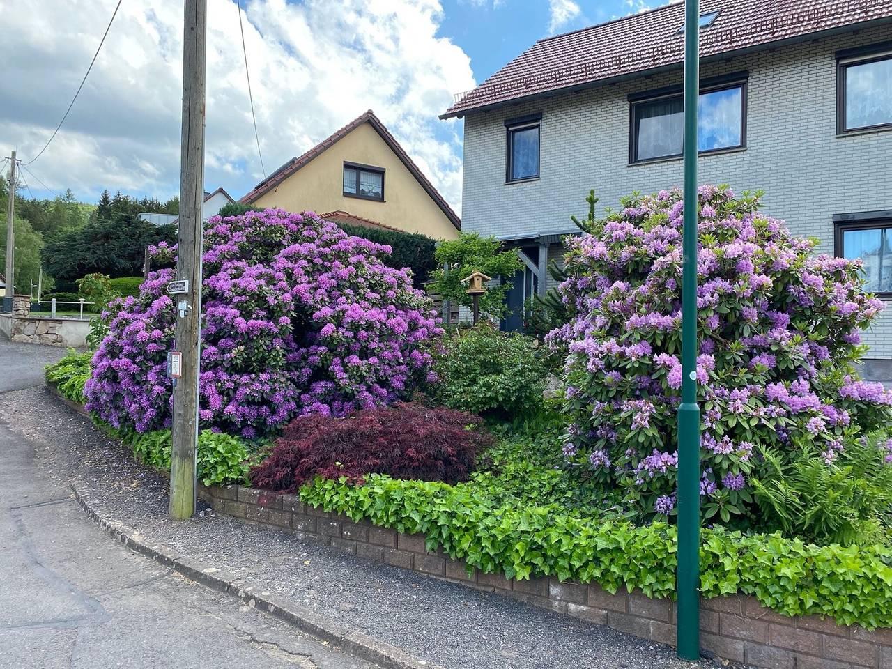Vakantieappartement in Waltershausen, Duitsland voor 4 personen foto 7
