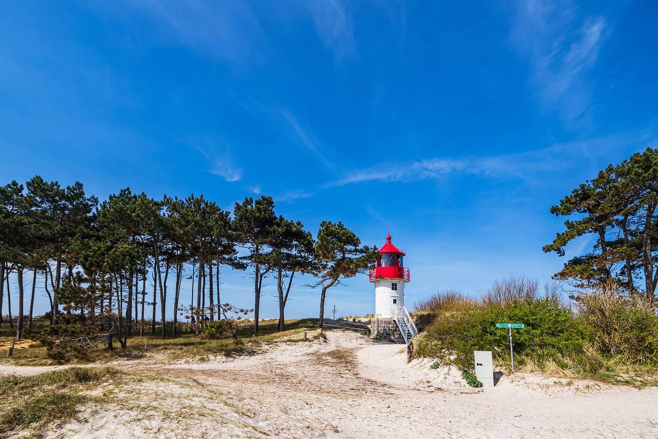 Vakantiewoning onder rieten dak, slechts 100 m in Neuendorf Hiddensee Island, Hiddensee, Duitsland voor 3 personen foto 19