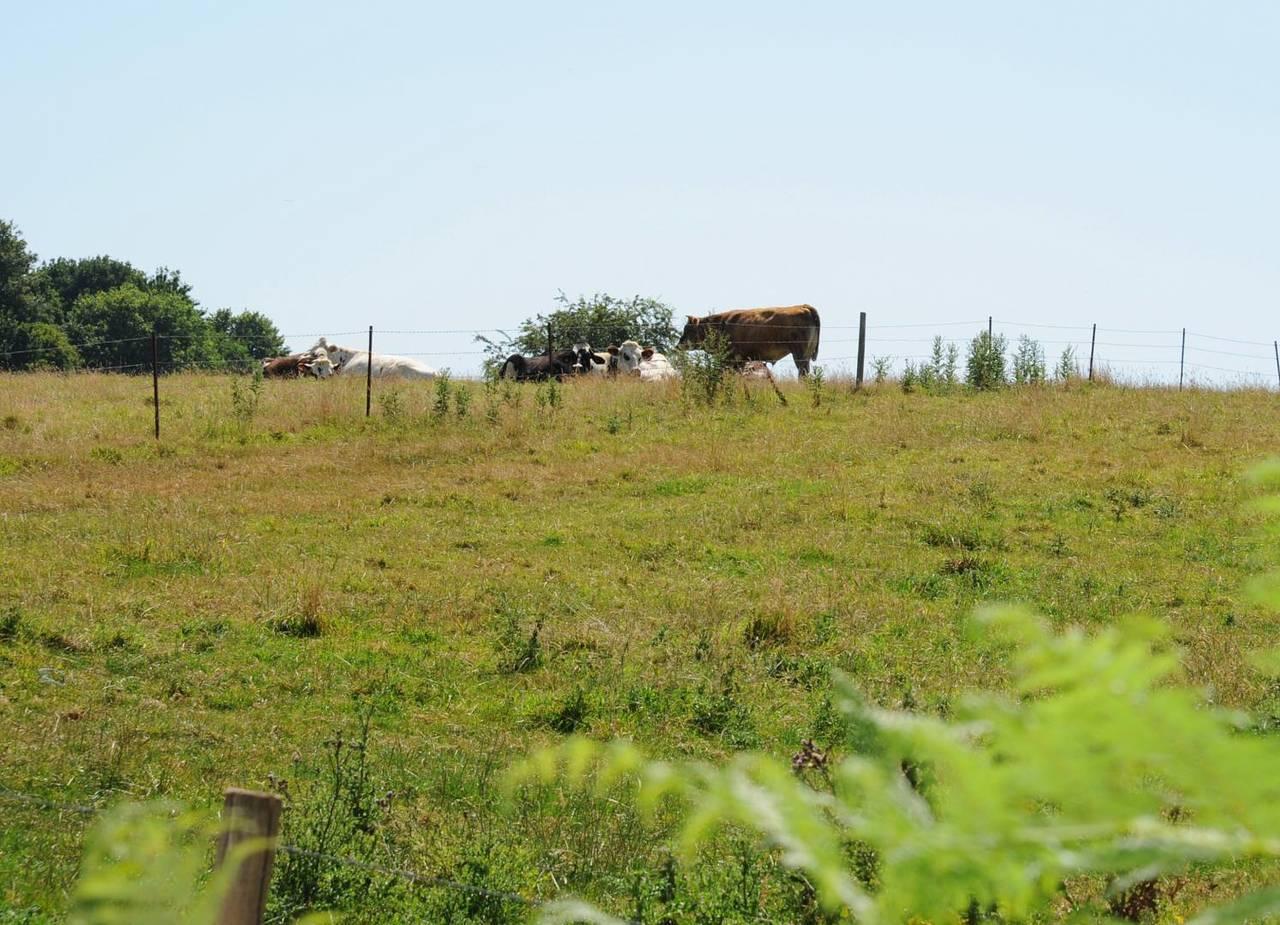 Gîtes de France® - La Métairie in Le Hanouard, Frankrijk voor 6 personen foto 23