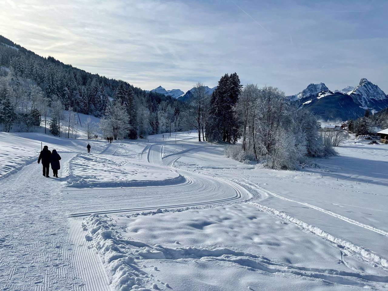 Vakantieappartement in Saanen, Zwitserland voor 8 personen foto 7