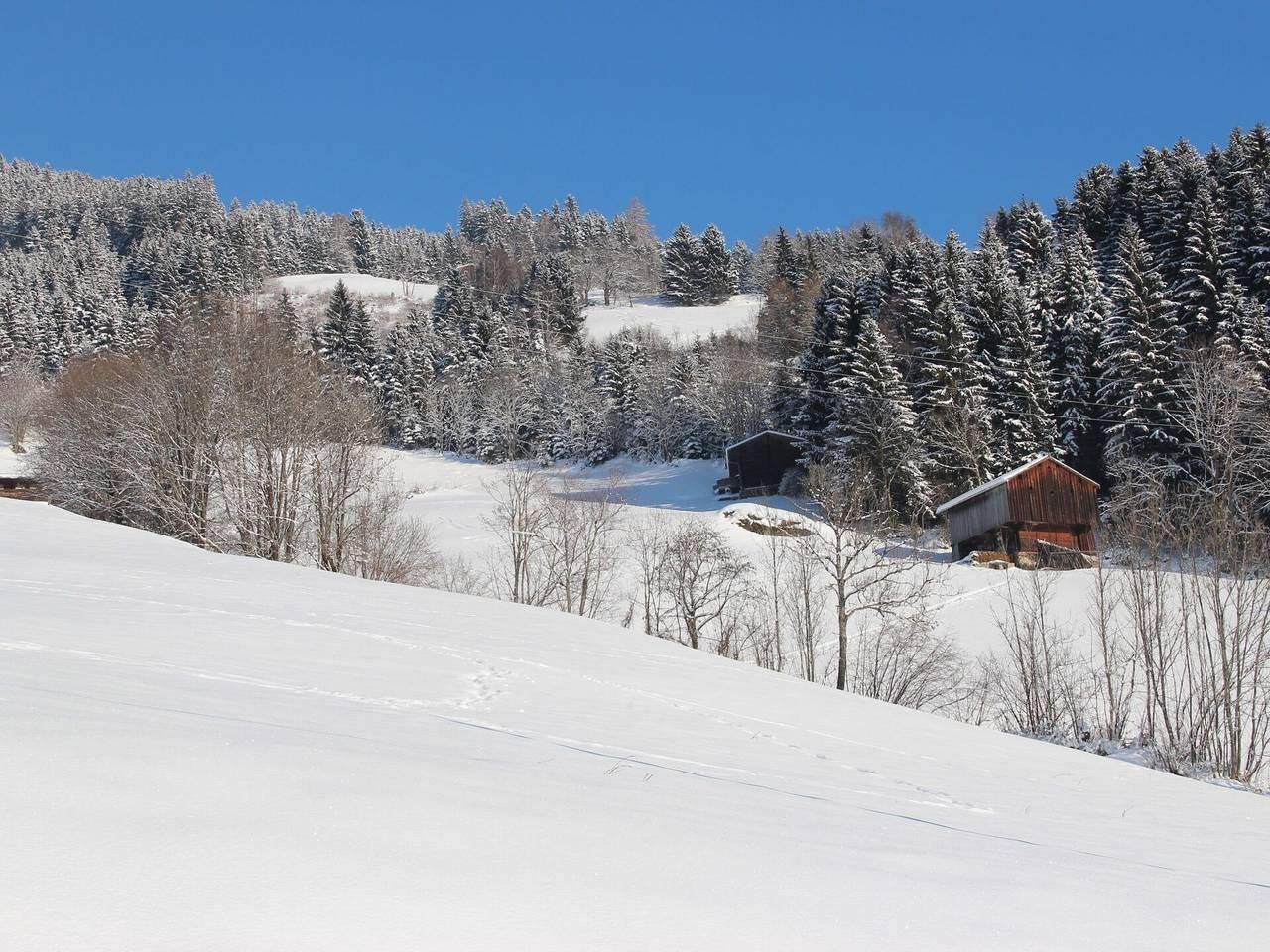 Vakantiehuis in Zillertal, Oostenrijk voor 14 personen foto 11