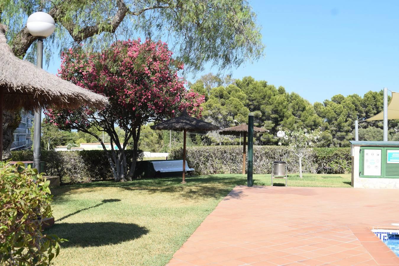 Vakantieappartement met zwembad en speeltuin in Dénia, Costa Blanca, Spanje voor 4 personen foto 23