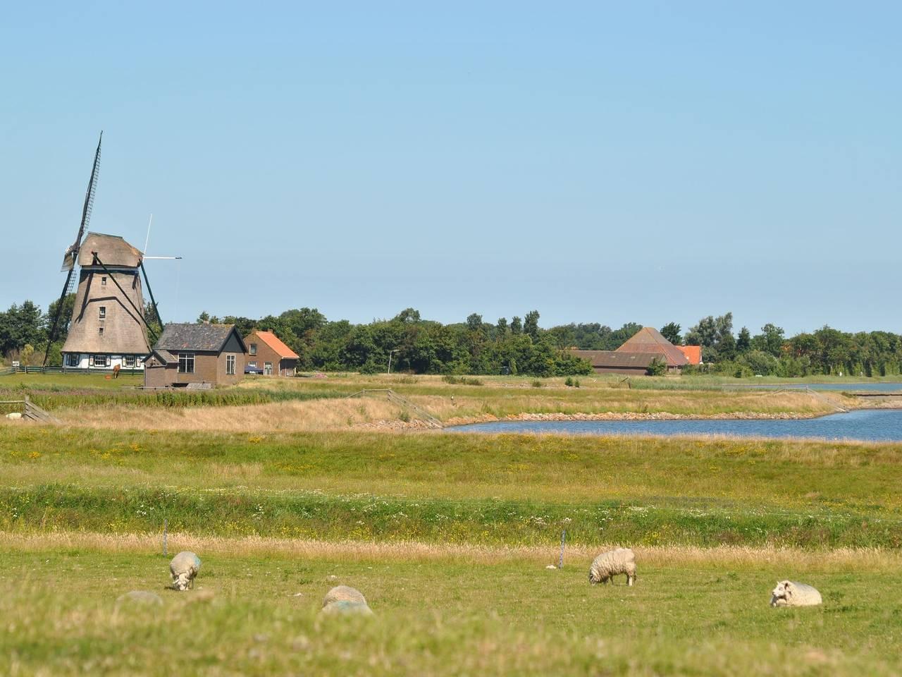 Vakantieappartement in Texel, Nederland voor 6 personen foto 16
