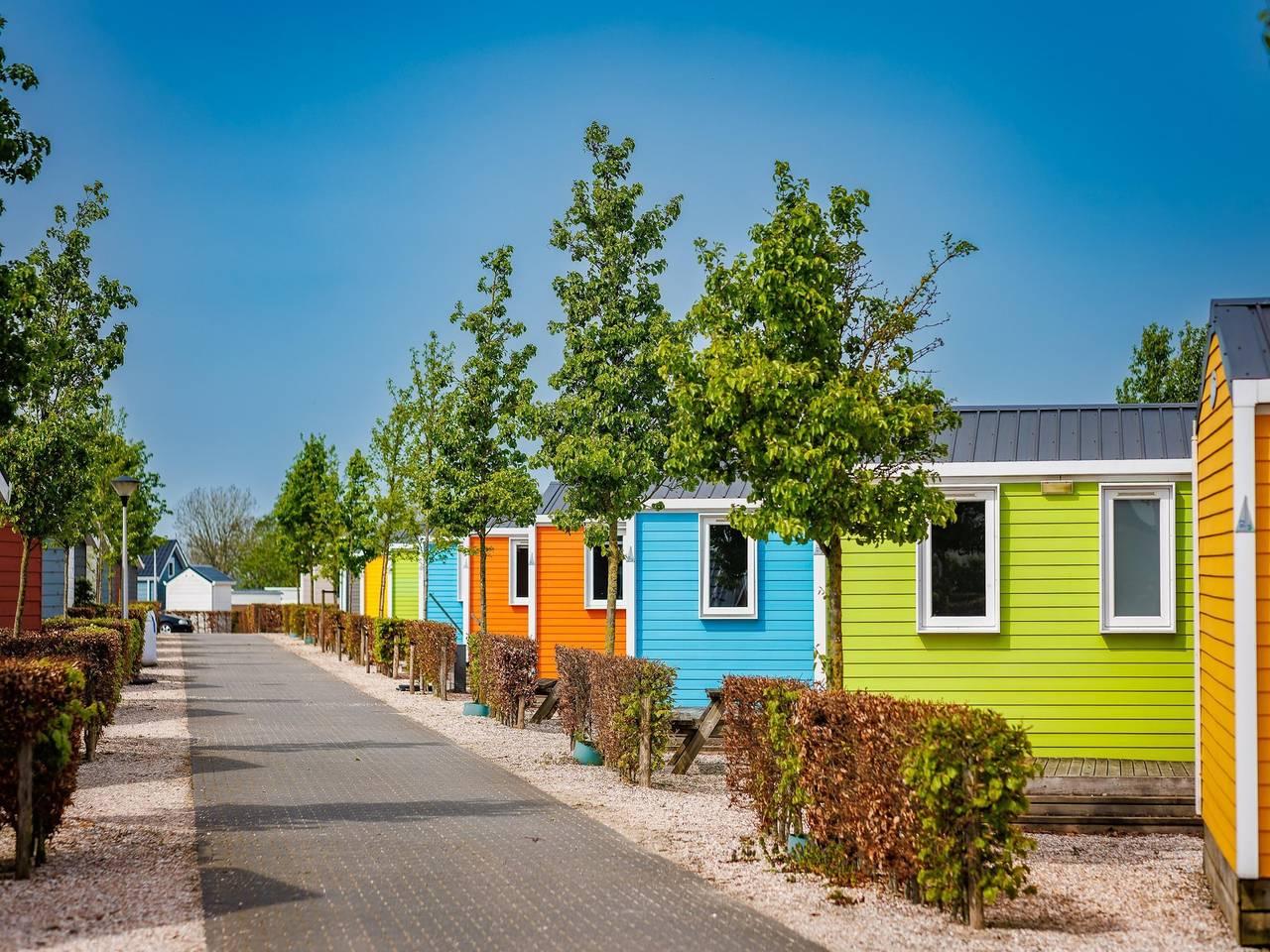 Vakantiehuis in Maurik, Nederland voor 6 personen foto 10