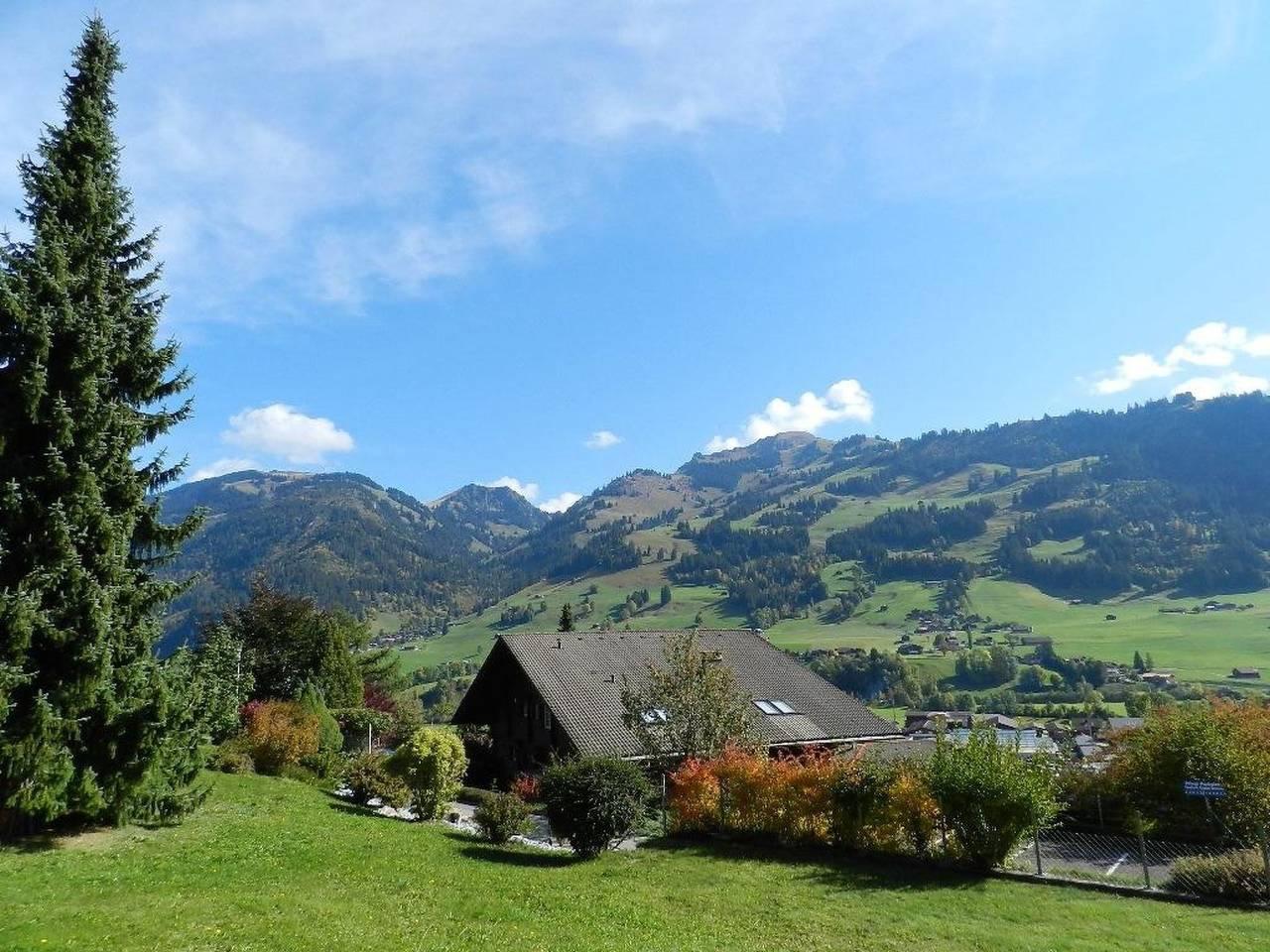 Vakantieappartement in Zweisimmen, Zwitserland voor 3 personen foto 8