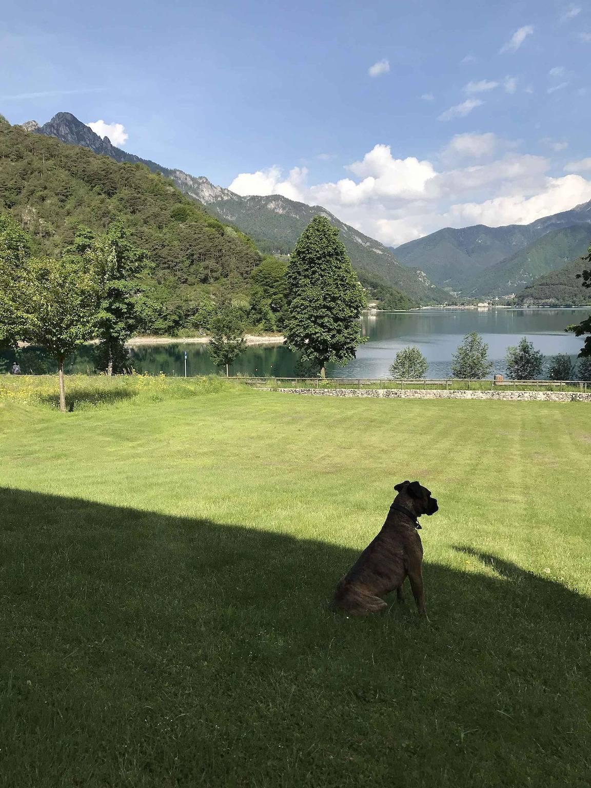 Vakantiewoning met uitzicht op Ledrosse in Molina di Ledro, Ledro, Italië voor 6 personen foto 20