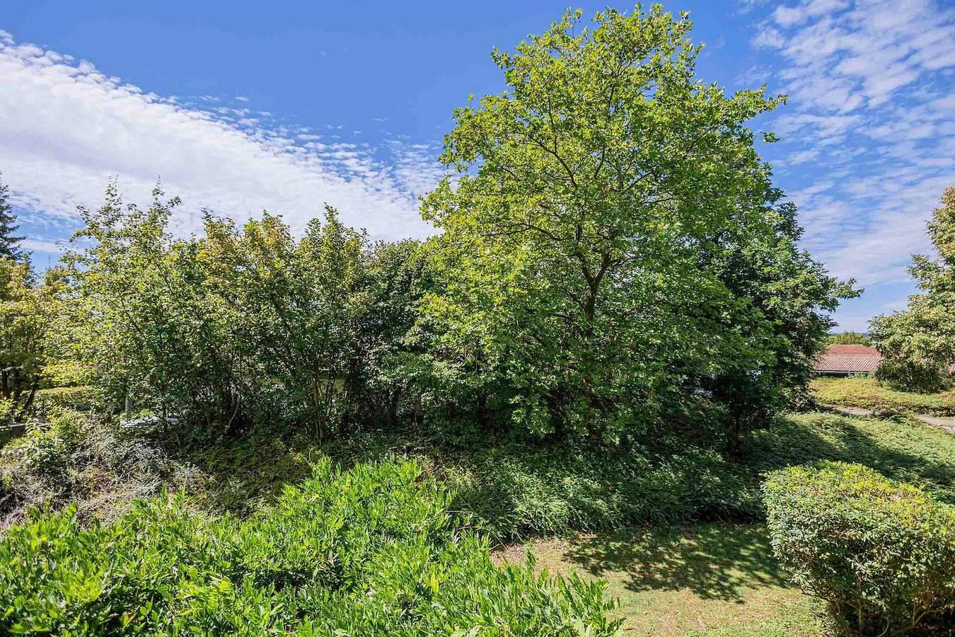 Vakantieappartement in Bodensee, Duitsland voor 3 personen foto 10