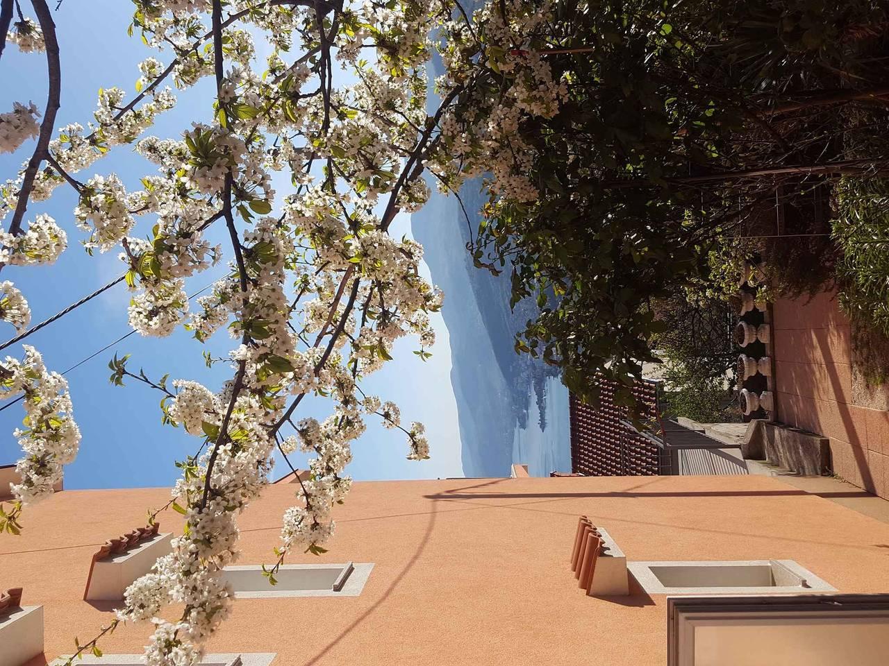 Vakantieappartement in Općina Matulji, Kroatië voor 4 personen foto 16