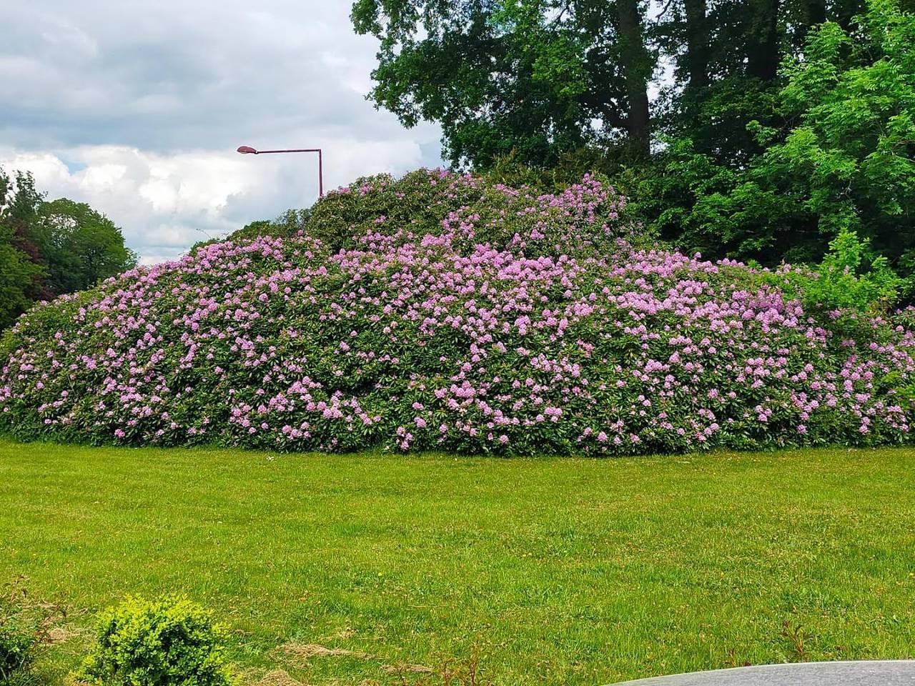 Gîte met tuin in Dieppe en omgeving, Frankrijk voor 8 personen foto 24