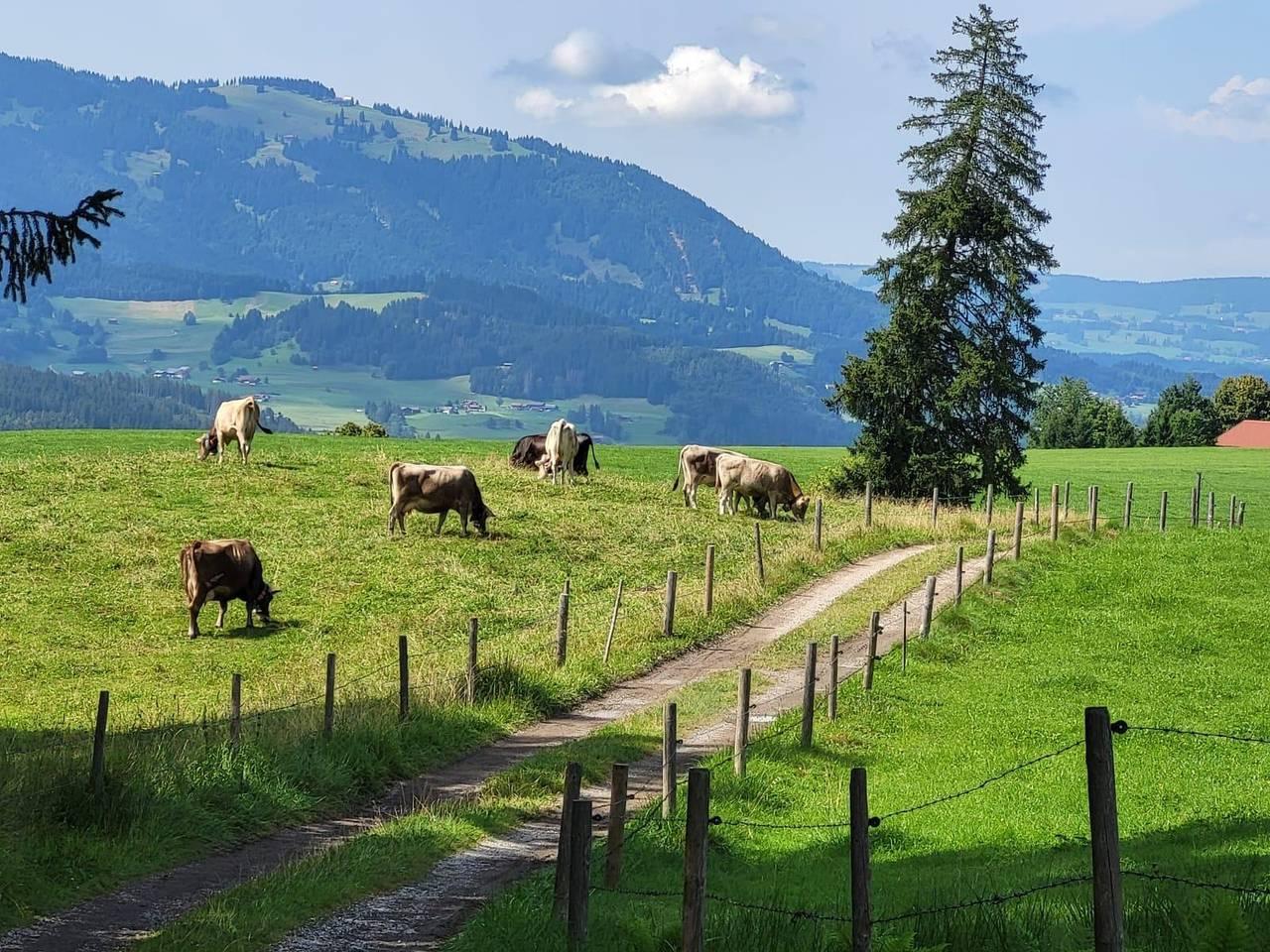 Vakantiehuis in Zwaben, Duitsland voor 6 personen foto 15