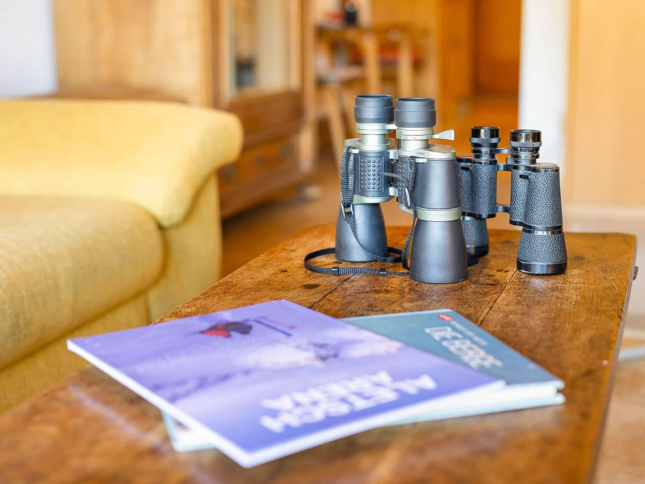 Vakantieappartement met speeltuin en 1 slaapkamer en balkon in Ernen, Aletsch Arena, Zwitserland voor 2 personen foto 12