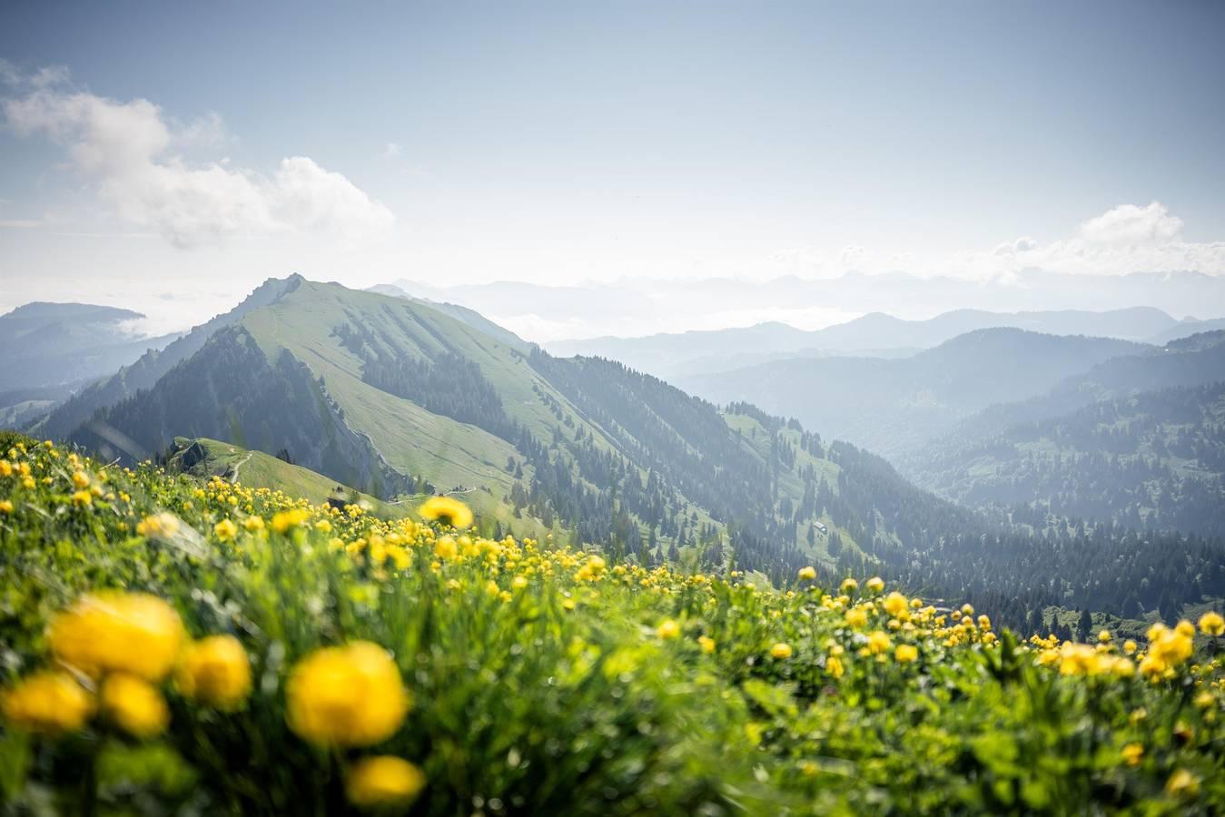 Rothenfels in Oberstaufen, Zwaben (Bayern), Duitsland voor 4 personen foto 21