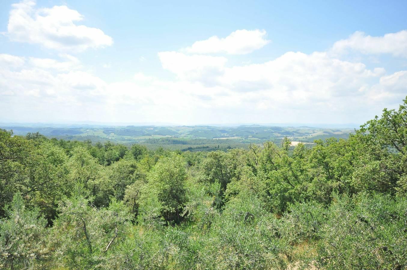 Vakantieappartement in Chianti, Italië voor 3 personen foto 14