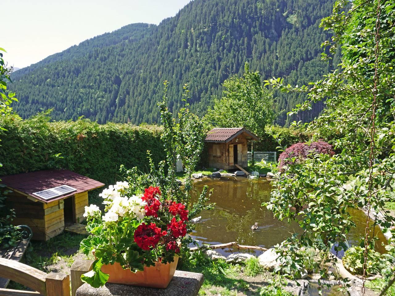 Helmreich in Sankt Gallenkirch (stad), Sankt Gallenkirch, Oostenrijk voor 4 personen foto 21
