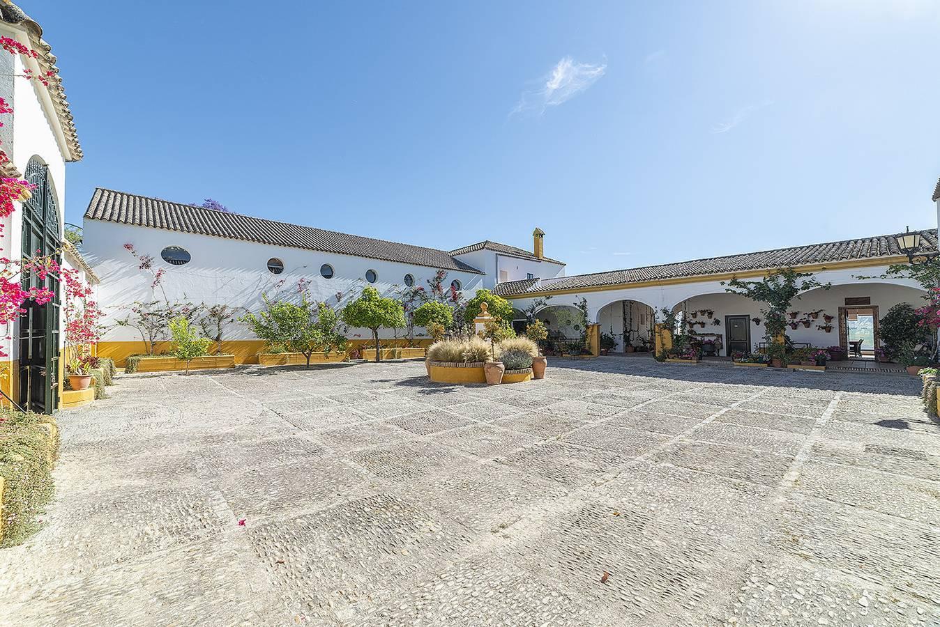 Vakantiehuis in Cádiz Provincie, Spanje voor 13 personen foto 18