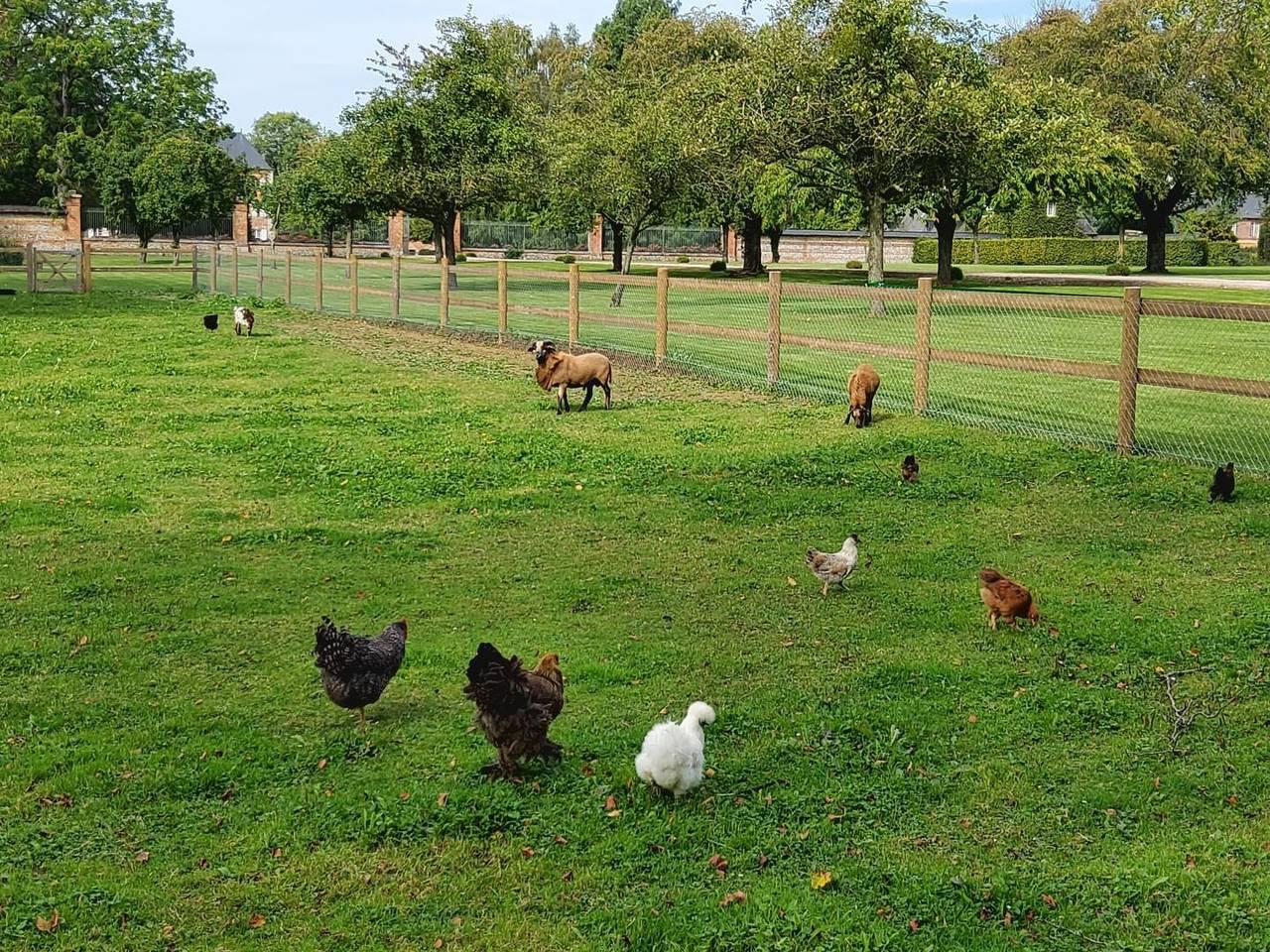 Gîtes de France® - Gîte du domaine de Grosmesnil in Cottévrard, Frankrijk voor 6 personen foto 24