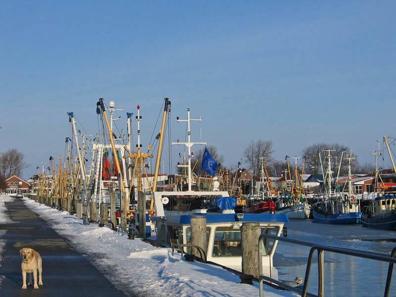 Vakantieappartement in Büsum foto 10