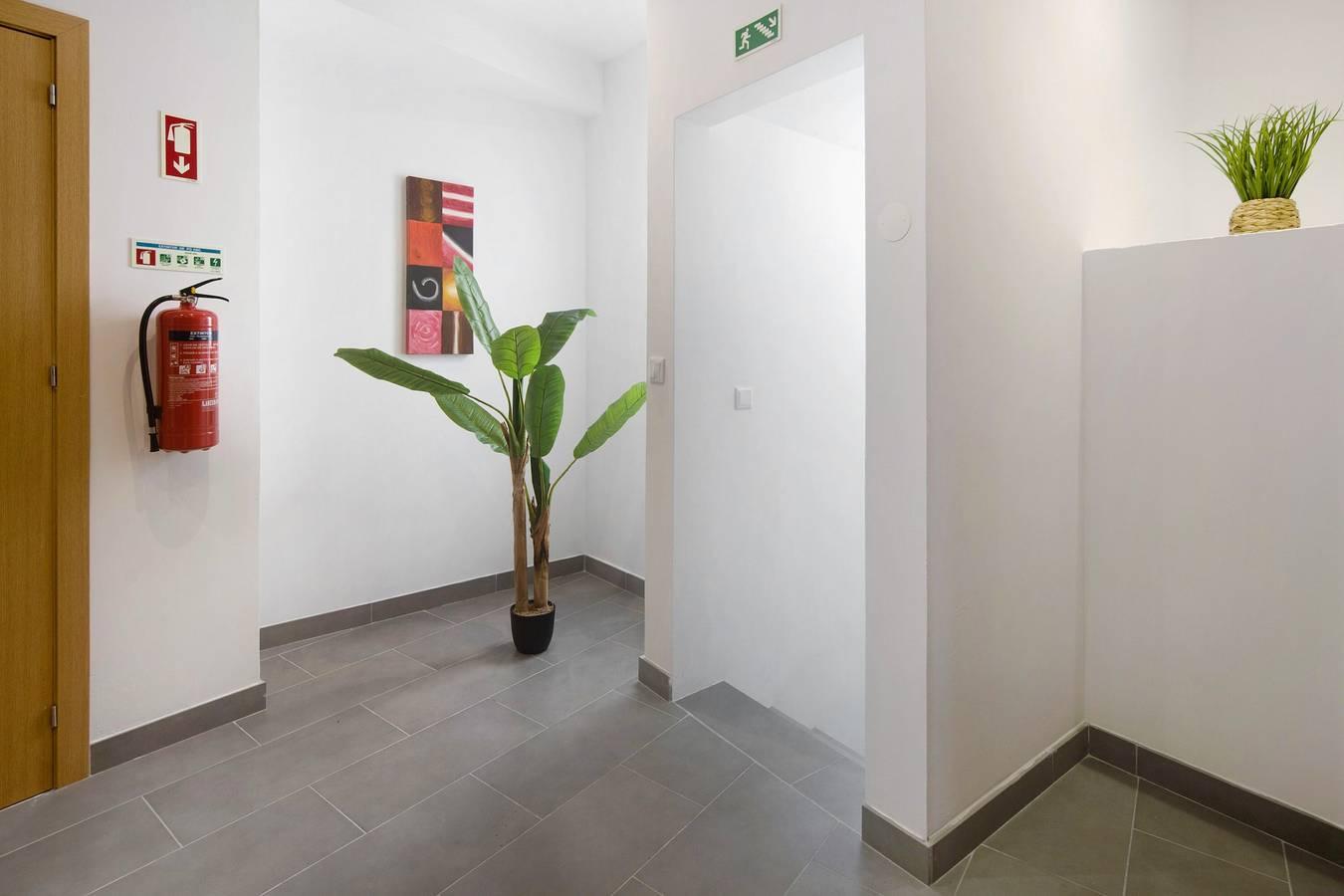 Vakantieappartement in Capelas foto 16