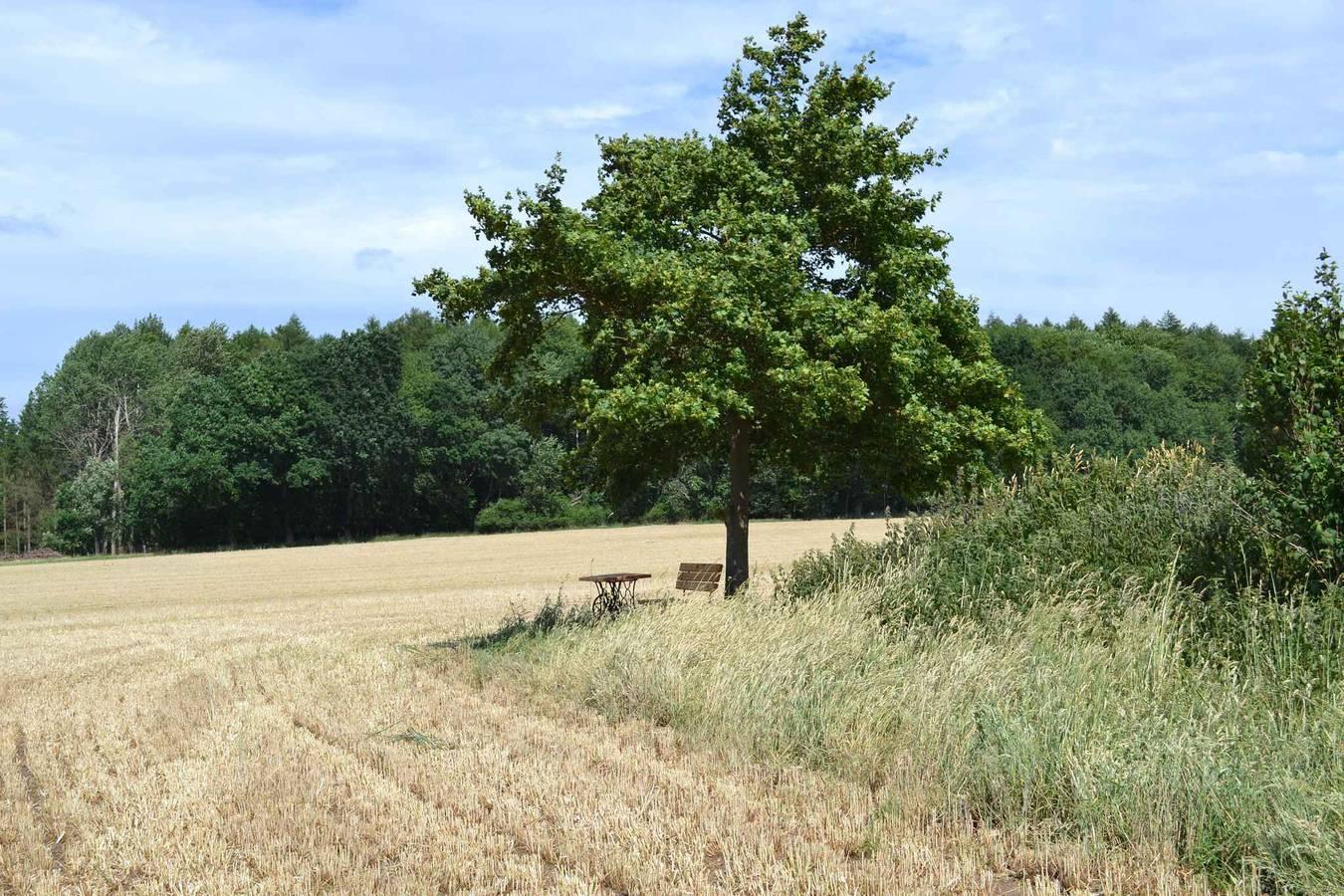 Vakantieappartement in Rügen, Duitsland voor 2 personen foto 6