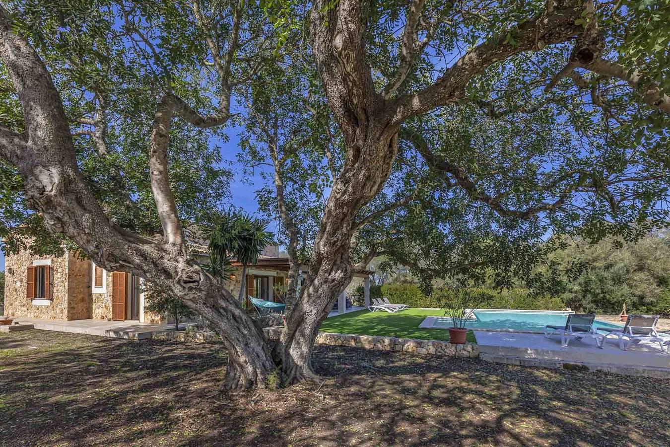 Finca Son Guillot D´en Pedro in Ariany, Mallorca Binnenland, Spanje voor 6 personen foto 24