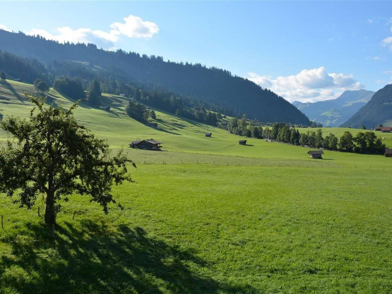 Vakantieappartement in Zweisimmen, Zwitserland voor 4 personen foto 7