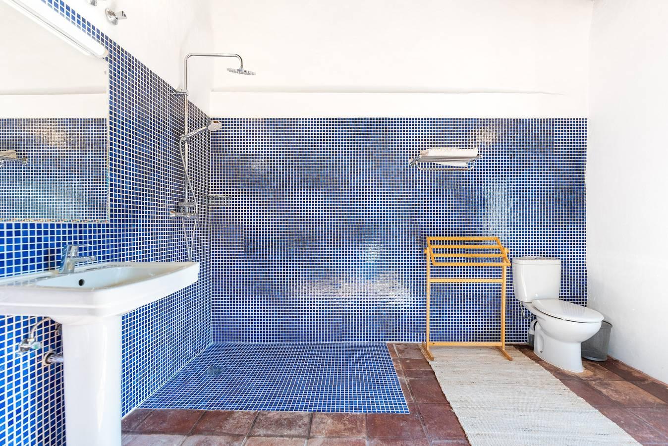 Vakantiehuis 'Finca Arroyo De Las Adelfas' in Palma-Palmilla, Malaga, Spanje voor 14 personen foto 25
