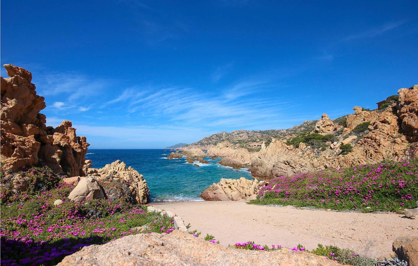 Vakantieappartement in Gallura, Italië voor 3 personen foto 17
