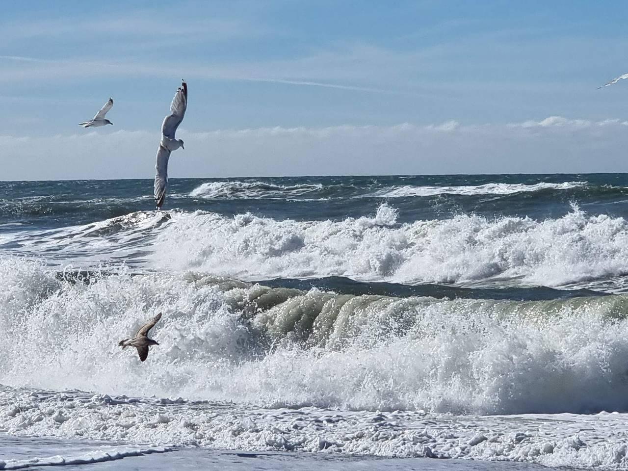 Vakantiehuis in Harboøre, Denemarken voor 5 personen foto 8