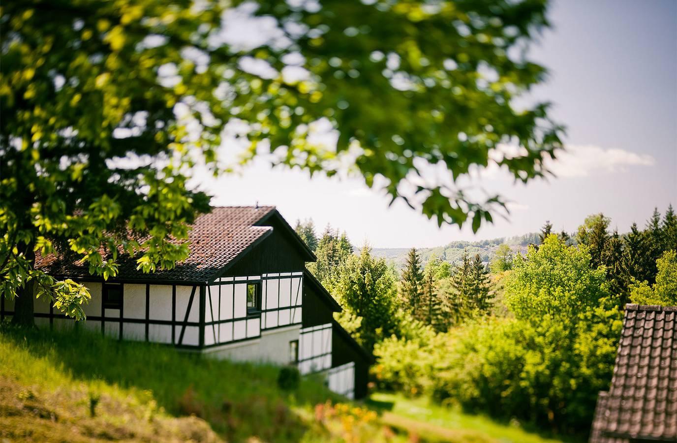 Vakantiehuis in Daun