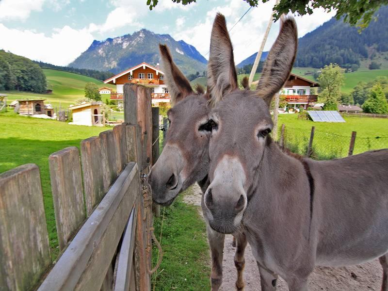 Vakantieappartement in Opper-Beieren, Duitsland voor 4 personen foto 13