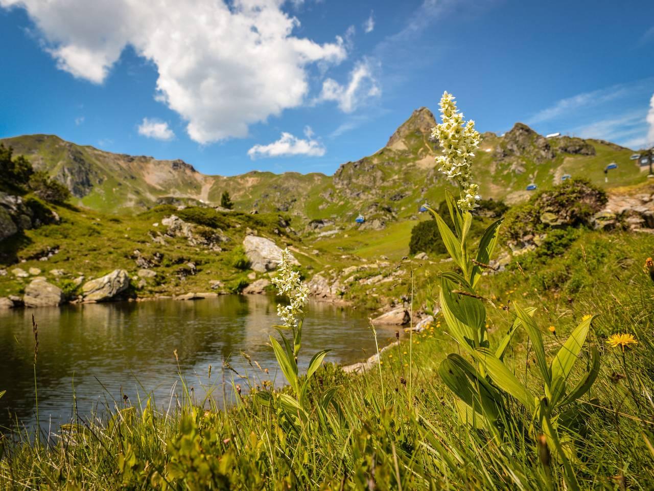 Vakantiehuis in Tauern, Oostenrijk voor 10 personen foto 10