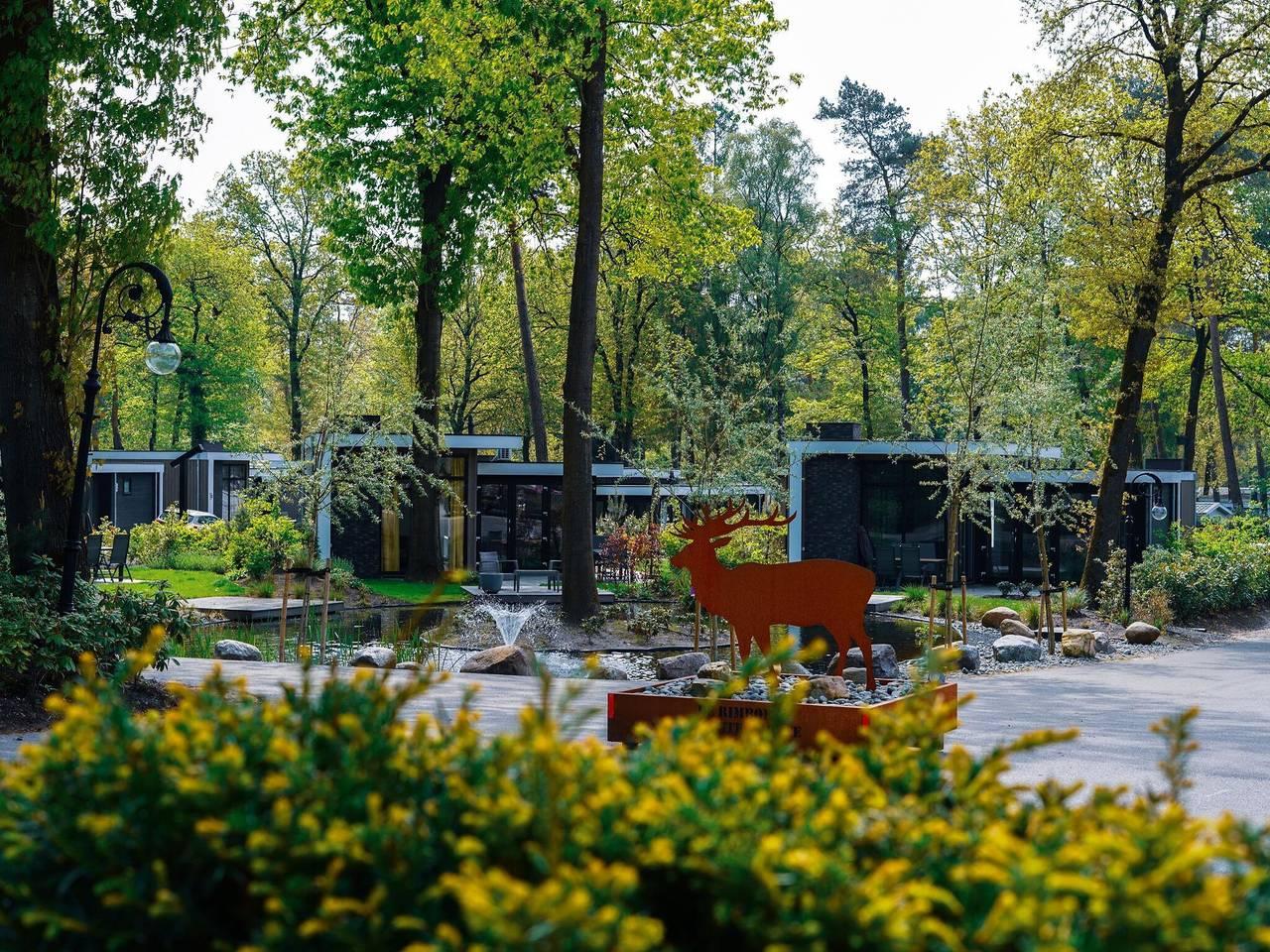 Vakantiehuis met sauna en zwembad in Veluwe, Nederland voor 4 personen foto 19