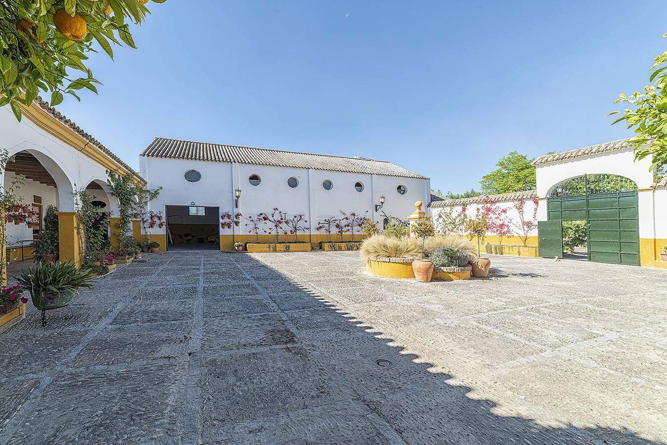 Vakantiehuis in Cádiz Provincie, Spanje voor 13 personen foto 17