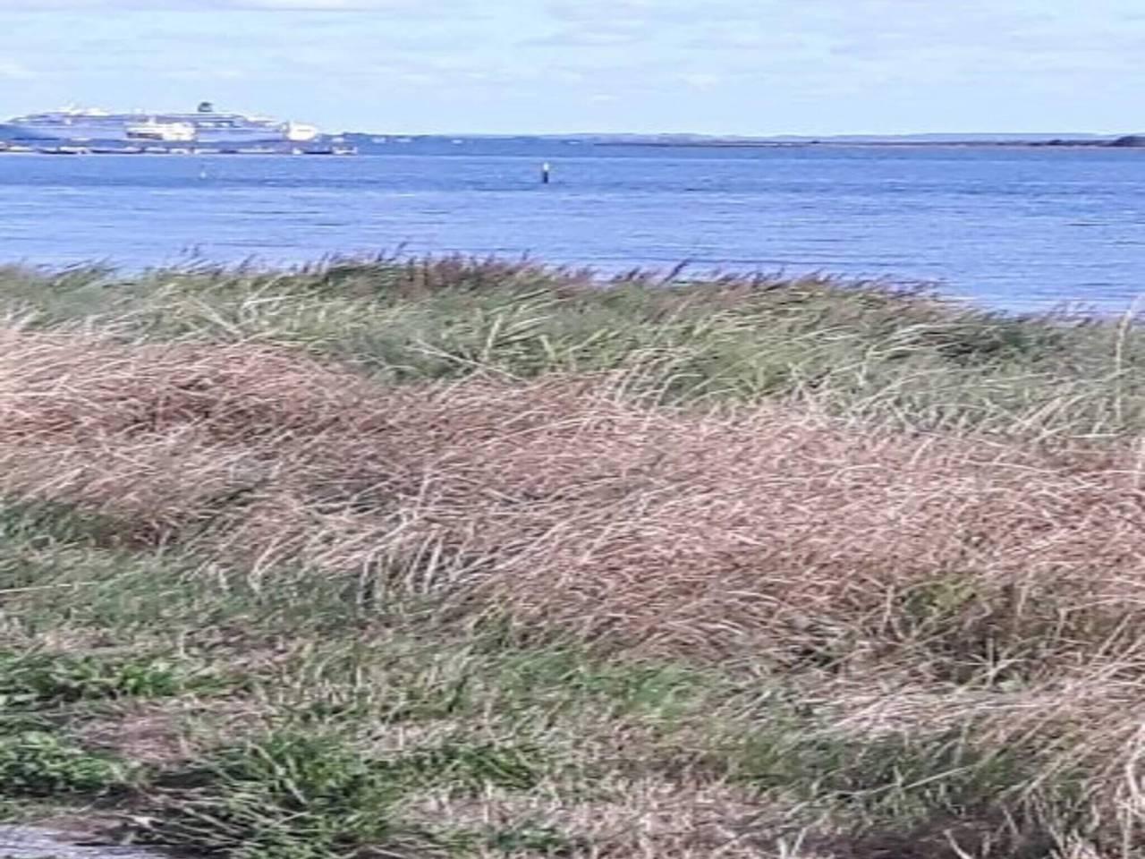 Vakantiehuis in Ærø, Denemarken voor 3 personen foto 10