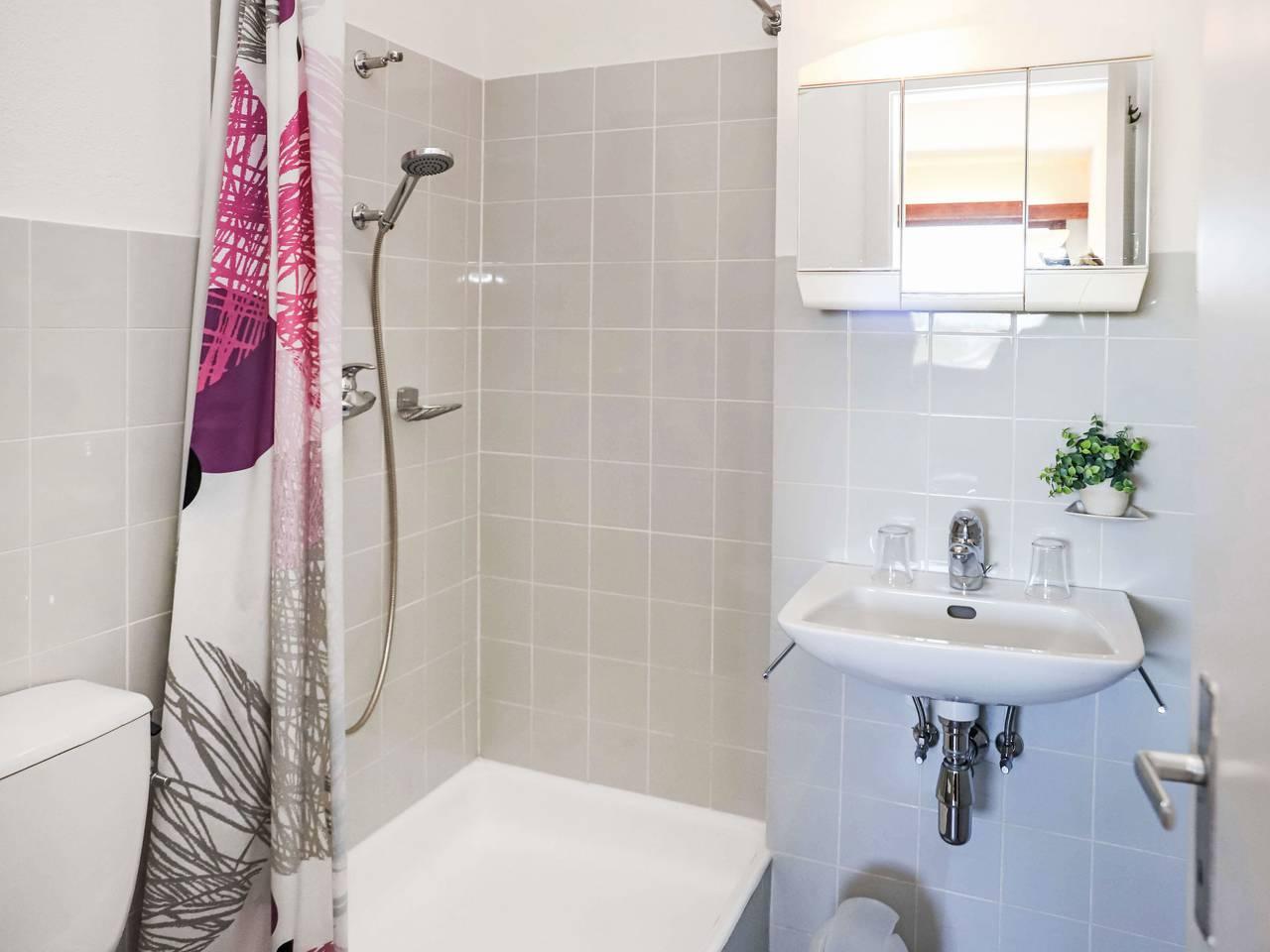 Rosablanche met 1 slaapkamer en sauna in Sornard (Nendaz), Nendaz, Zwitserland voor 4 personen foto 6