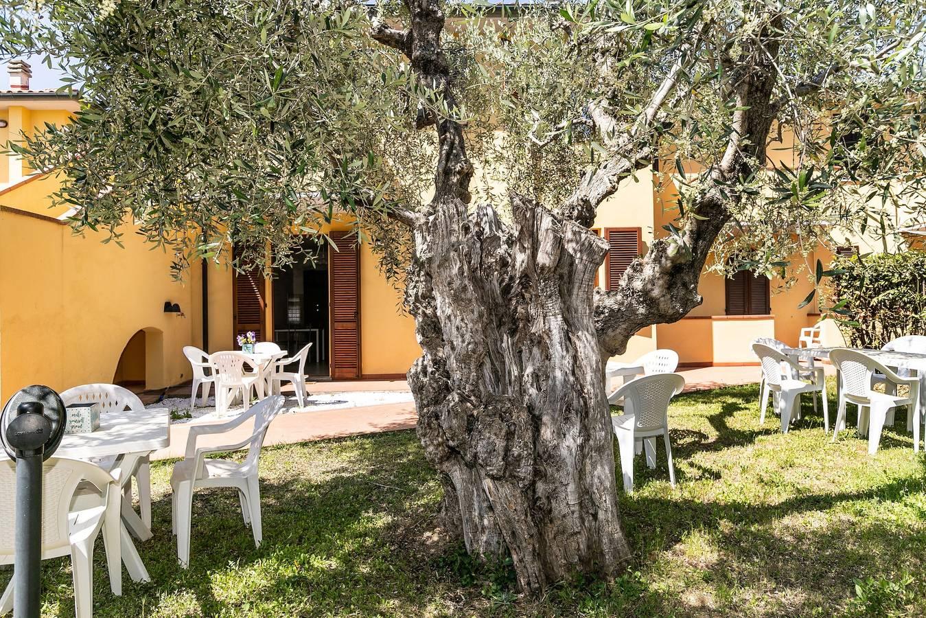 Appartement "Trilocale Coratina" met Terras, Gedeeld Zwembad & in Suvereto, Etruskische kust, Italië voor 4 personen foto 23