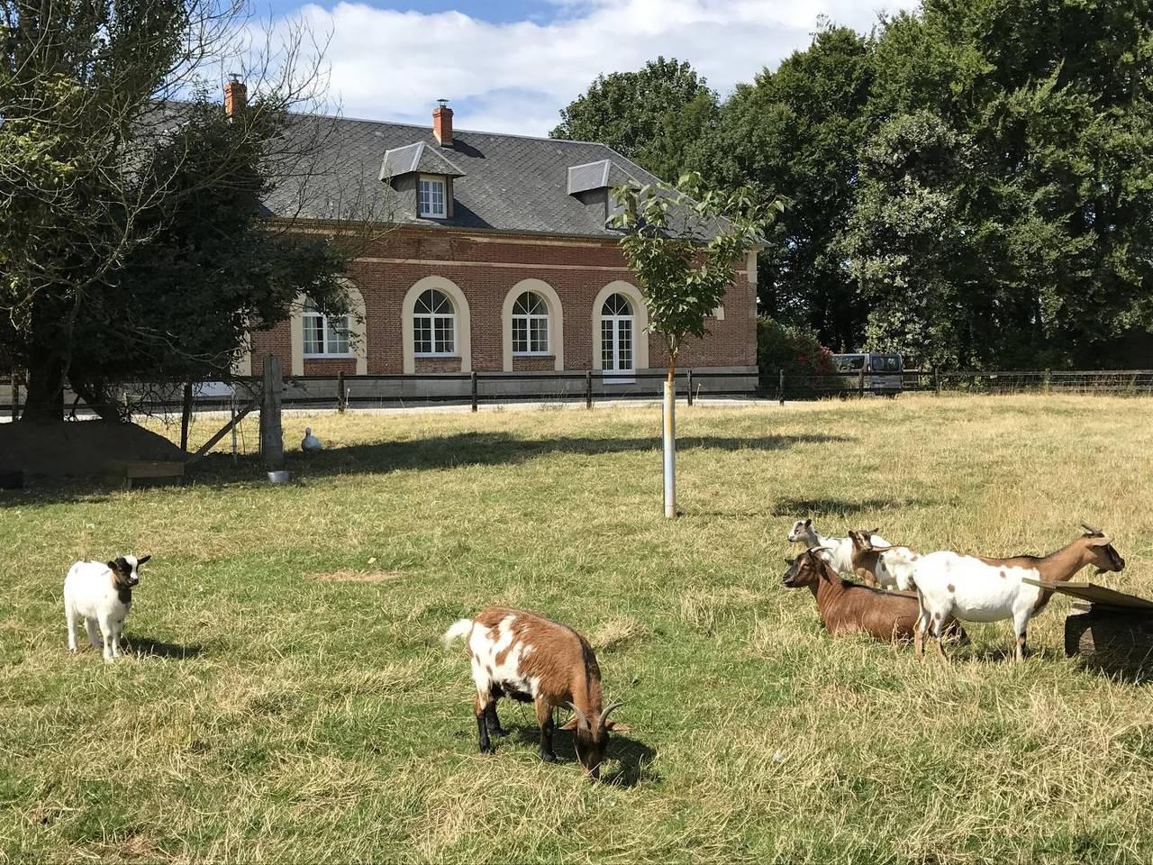 Gîtes de France® - Mer in Sassetot-le-Mauconduit, Frankrijk voor 13 personen foto 23