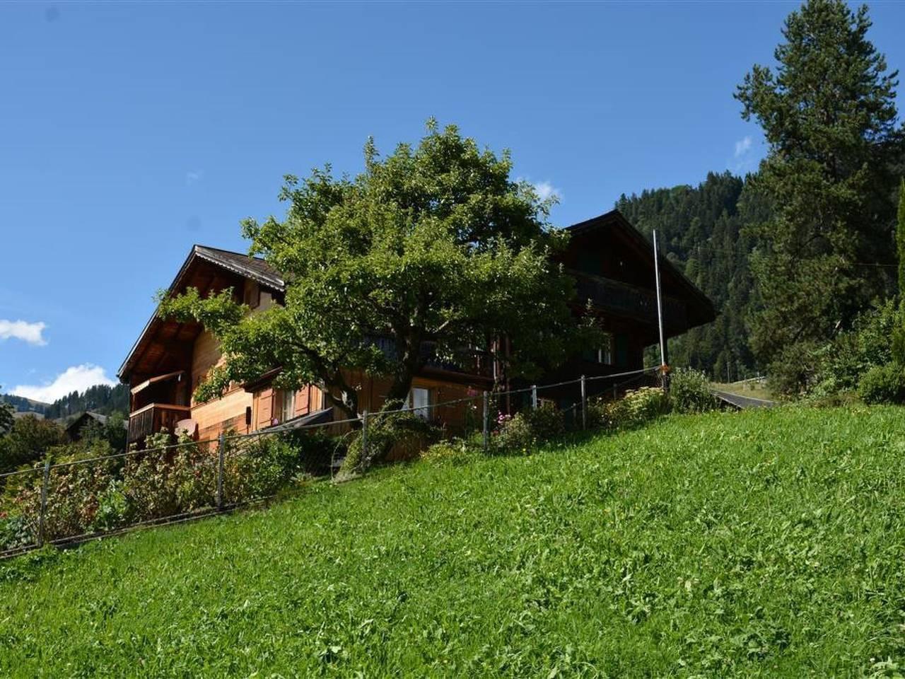 Vakantieappartement in Saanen, Zwitserland voor 4 personen foto 4