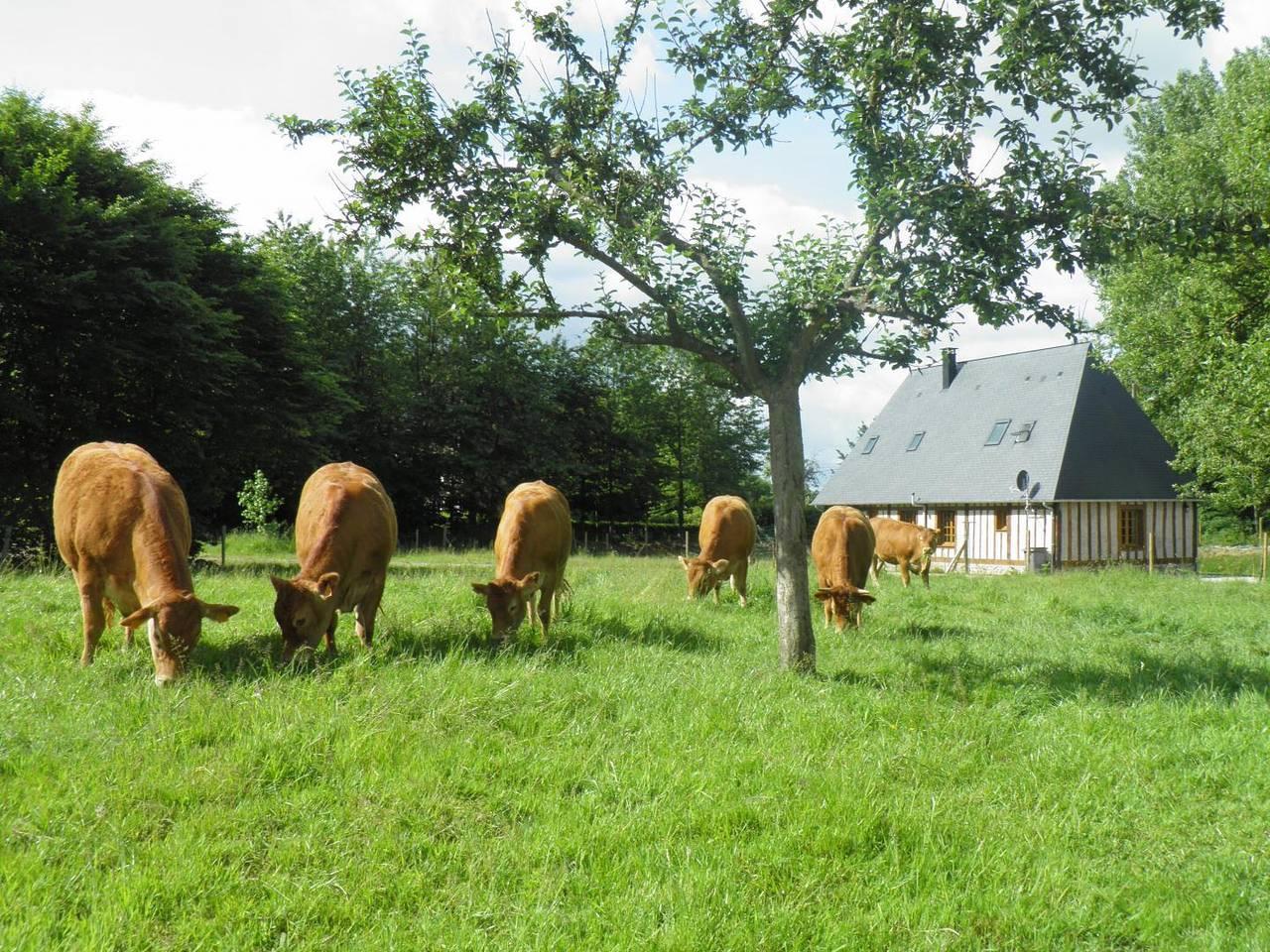Gîtes de France® - Le Varvannes in Val-de-Saâne, Frankrijk voor 7 personen foto 19