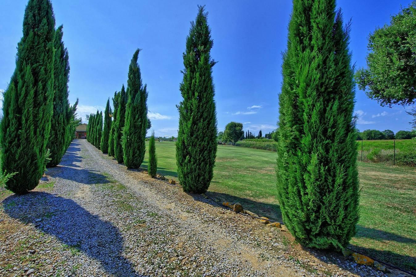 Vakantiehuis in Val di Chiana, Italië voor 12 personen foto 18