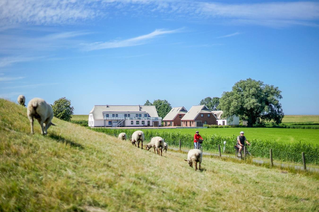 Vakantieappartement in Waddenzee, Duitsland voor 6 personen foto 12