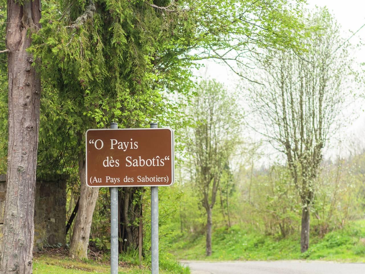 Gezellig boshuisje in Awenne in Awenne, Saint-Hubert, België voor 4 personen foto 24