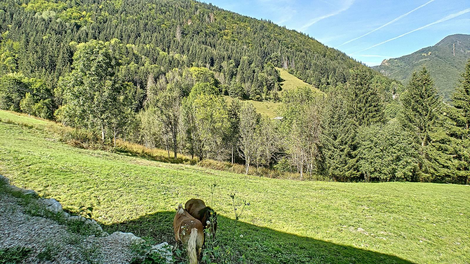 Vakantieappartement in Rhône-Alpes, Frankrijk voor 6 personen foto 18