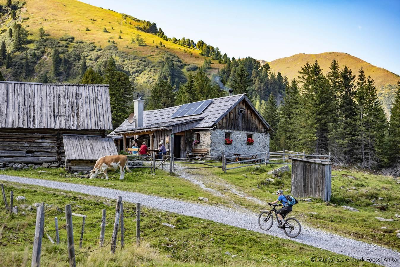 Vakantiehuis in Tauern, Oostenrijk voor 4 personen foto 11
