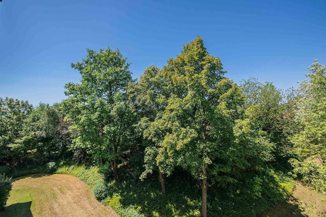 Vakantieappartement in Bodensee, Duitsland voor 2 personen foto 12